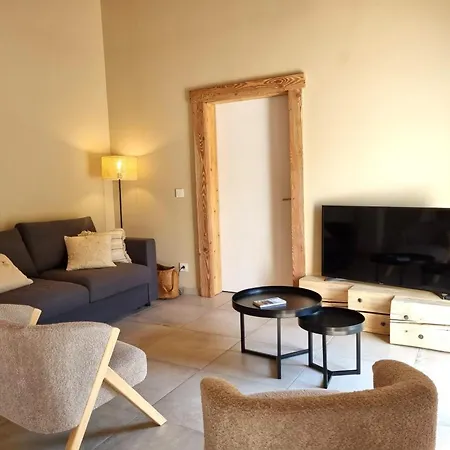 Maison Climatisée, 4 Pers. Près De Saint-étienne - Fr-1-496-424 *